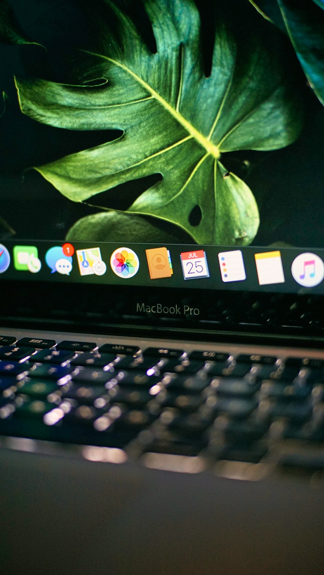 services-02 ecosystem apple macBook